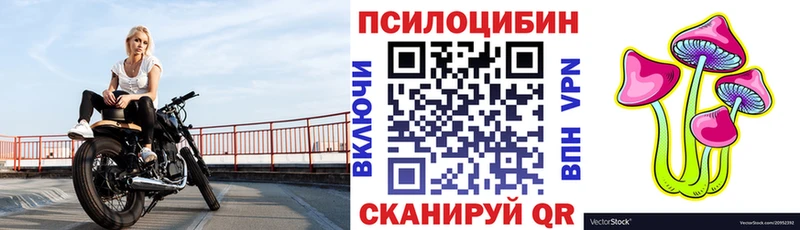 Псилоцибиновые грибы Cubensis  Купить закладки  Горняк 
